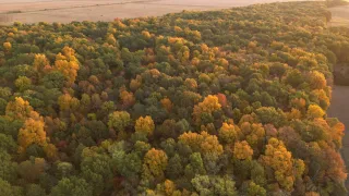 What Makes Central Illinois Hunting Land Worth the Price — and What Doesn't