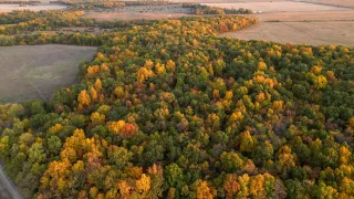 Cass County Illinois Hunting Ground — The Overlooked River County