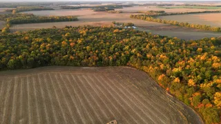 Trail Camera Strategy for Patterning Mature Bucks in Illinois Before the Season Opens