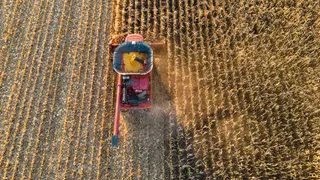 What Is Illinois Farmland Worth in Fall 2026? Reading the Adams, Brown, and Schuyler County Numbers