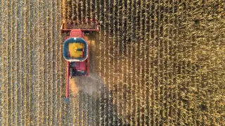 McLean County Farmland Values 2026 — Top-Tier Ground in a Shifting Market