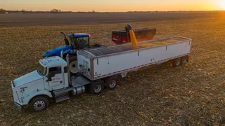 Buying Farmland at Auction in Illinois: How to Prepare for a Fall Sale Day