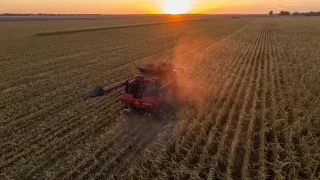 What Falling Farm Margins Mean for Landowners in Illinois