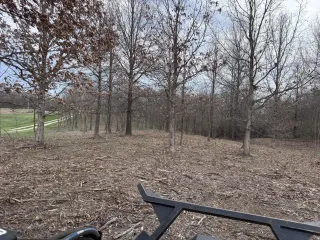 What It Actually Takes to Reclaim Illinois Land From Invasive Species — And What Happens If You Stop Too Soon