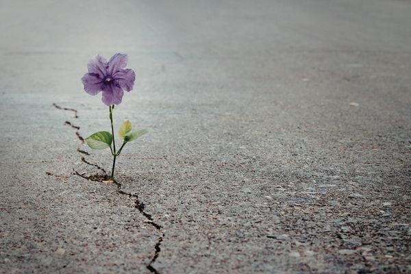 What Real Resilience Looks Like in a Creative Agency Leader