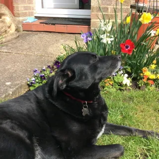 Tutoring, Sunshine & Saying No to BBQs