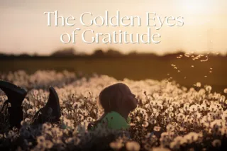 The Golden Eyes of Gratitude