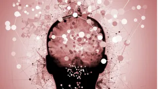 Your Brain Is Taking Notes: Unfortunately, It Has Terrible Judgment