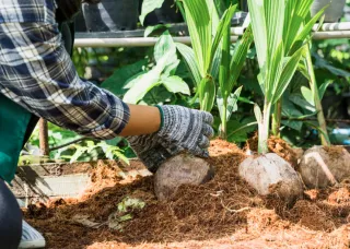 Heavy-Duty Mulching Lawn Mower for a Lush Yard in North NJ