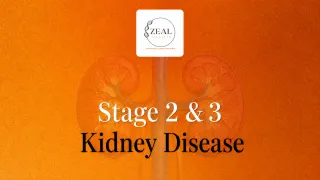Stage 2 & 3 kidney disease