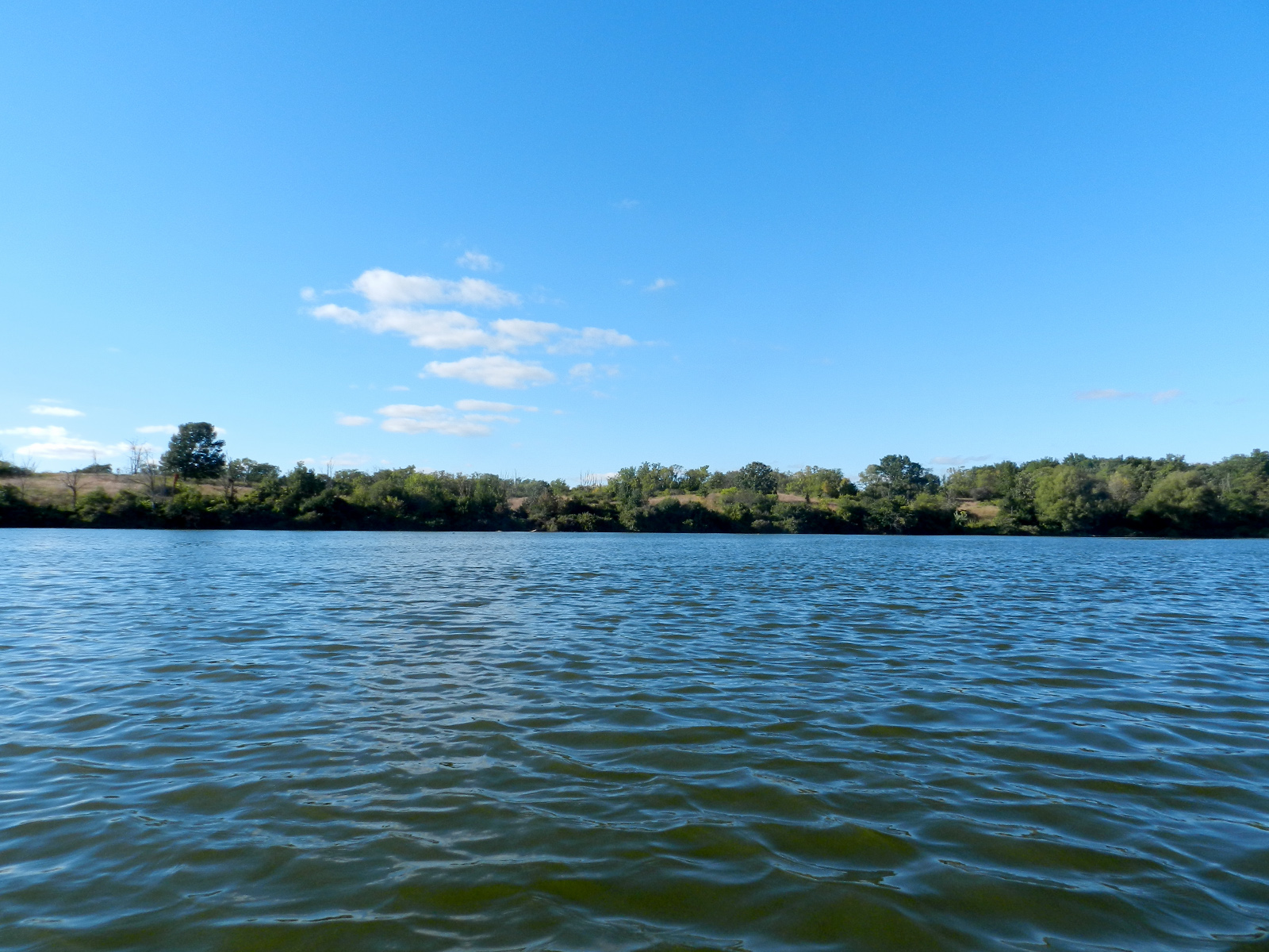 Why Hobbs Woods Is One of Janesville’s Best Hidden Nature Spots (The Pawn Play Auto Rentals, Janesville, WI)