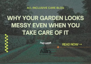 🌿Why Your Garden Looks Messy Even When You Take Care of It