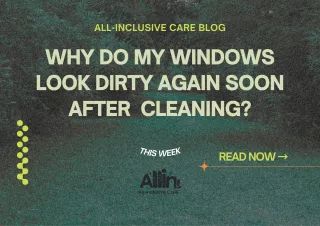 🪟 Why Do My Windows Look Dirty Again So Soon After Cleaning?