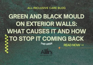 🧼 Green and Black Mould on Exterior Walls: What Causes It and How to Stop It Coming Back
