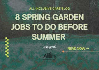 Spring Garden Checklist for Sydney: 8 Jobs to Do Before Summer