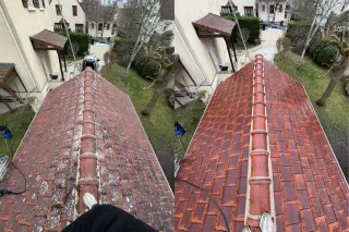 Comment savoir si votre toiture nécessite une réparation ou une rénovation complète