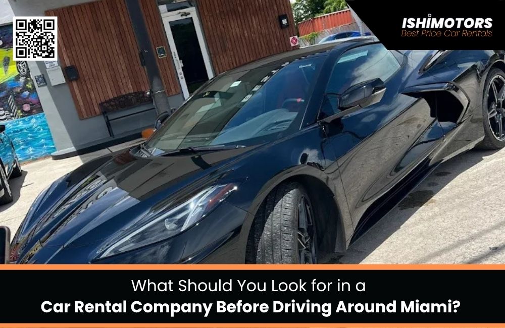 What Should You Look for in a Car Rental Company Before Driving Around Miami?