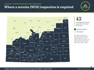 Colorado Termite Inspections