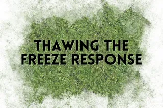 Thawing the Freeze Response: Understanding Numbness, Shutdown, and Emotional Disconnection After Betrayal