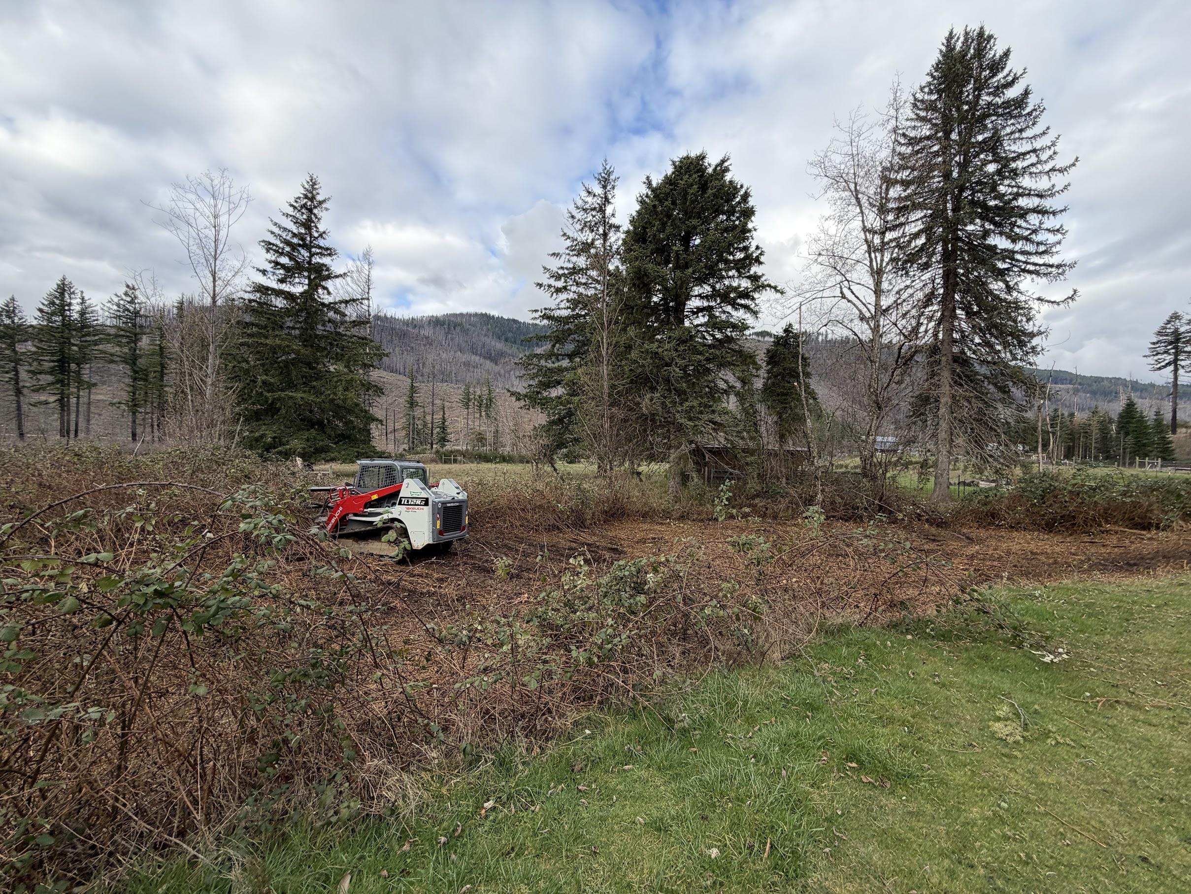 How to Know If Your Property Needs Land Clearing Before Fire Season