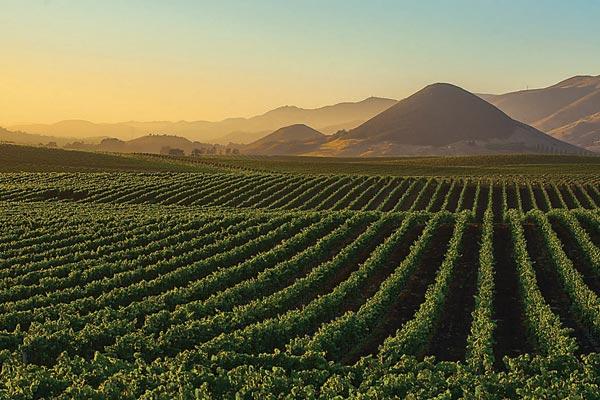 Should I Move to San Luis Obispo? A Complete Decision Guide (2026)
