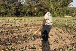 Gardening for a Cause