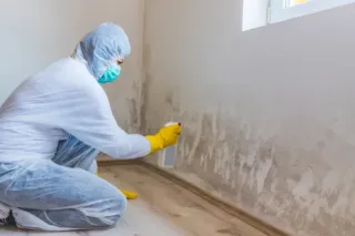10 Warning Signs of Mold In Your Home