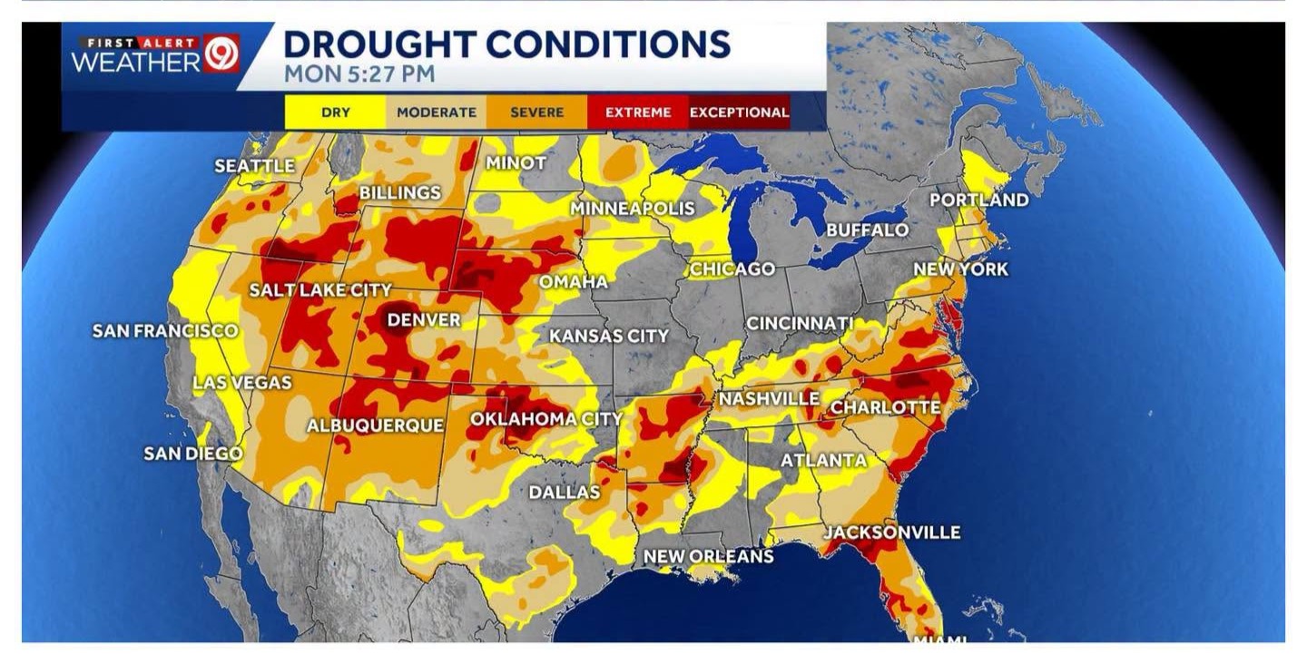 Why El Niño Weather Patterns Could Increase Your Water Damage Risk This Year