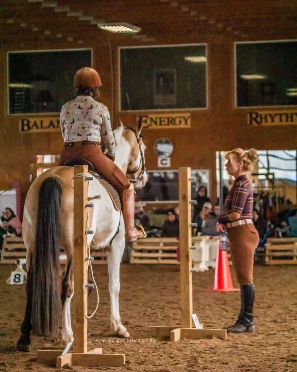 Why Clinic Group Workshops Are the Secret to Mastering Working Equitation