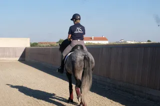 What International Competition Brings Back to the Training Arena