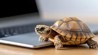 When Progress Is Slow