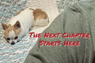 The Next Chapter Starts Here