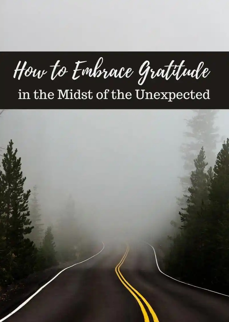 How to REALLY Be Grateful: A Mindful Approach to Life