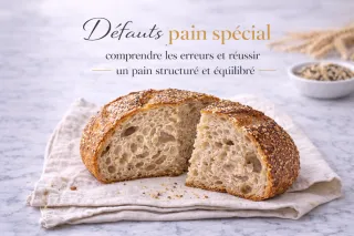 Défauts pain spécial : comprendre les erreurs et réussir un pain structuré et équilibré