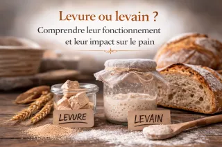 Levure ou levain ?