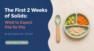 First 2 Weeks of Baby Solids: Day-by-Day Guide