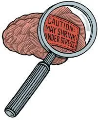 Stress shrinks the brain
