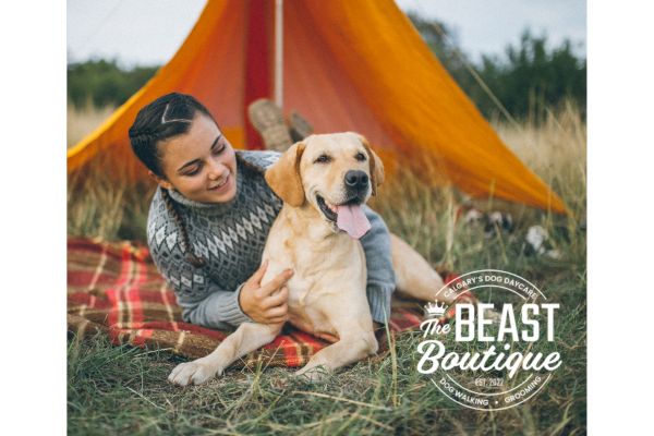 Exploring the Great Outdoors: The Ultimate Guide to Camping with Dogs