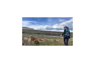 From Scent Training to Wildlife Conservation: Holly and Penny's Success Story