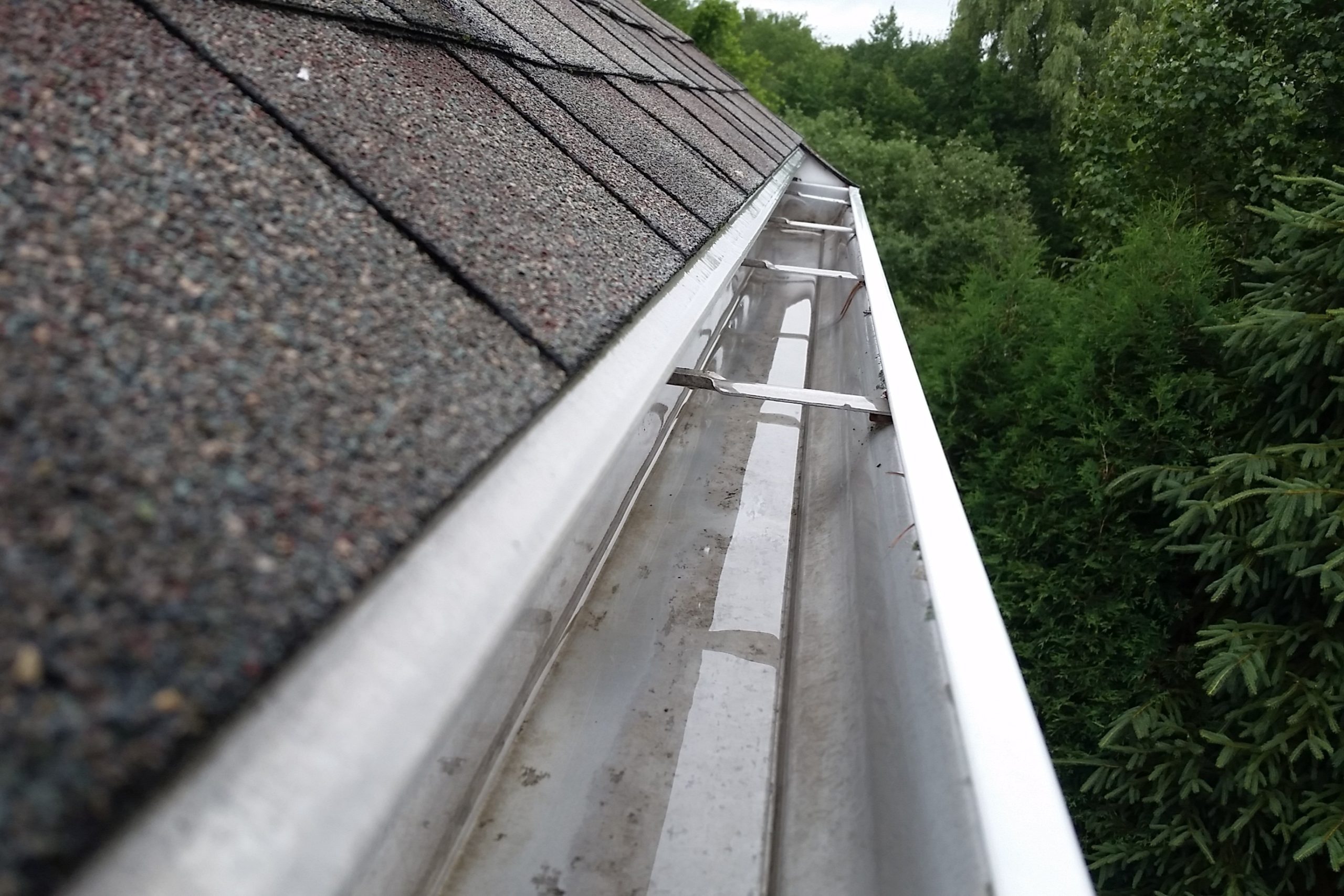 What Happens If You Don’t Clean Your Gutters in Early Spring?