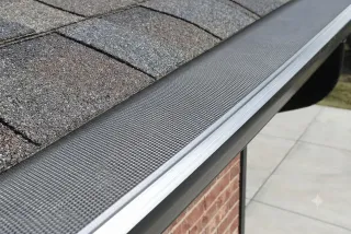Ottawa Leaf Screen Solutions for Eavestrough Protection