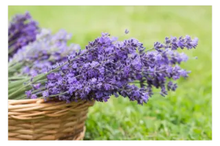 From Dreaming to Building: What I’ve Been Working On Lately