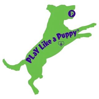 Quiet Time and P.L.A.Y.