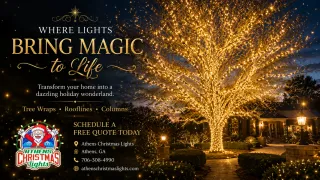 What Makes Christmas Lights Look Professionally Designed?