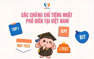 Các chứng chỉ tiếng Nhật phổ biến tại Việt Nam