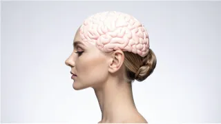 What’s Actually Happening Inside Your Brain