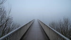 Leven in Mist
