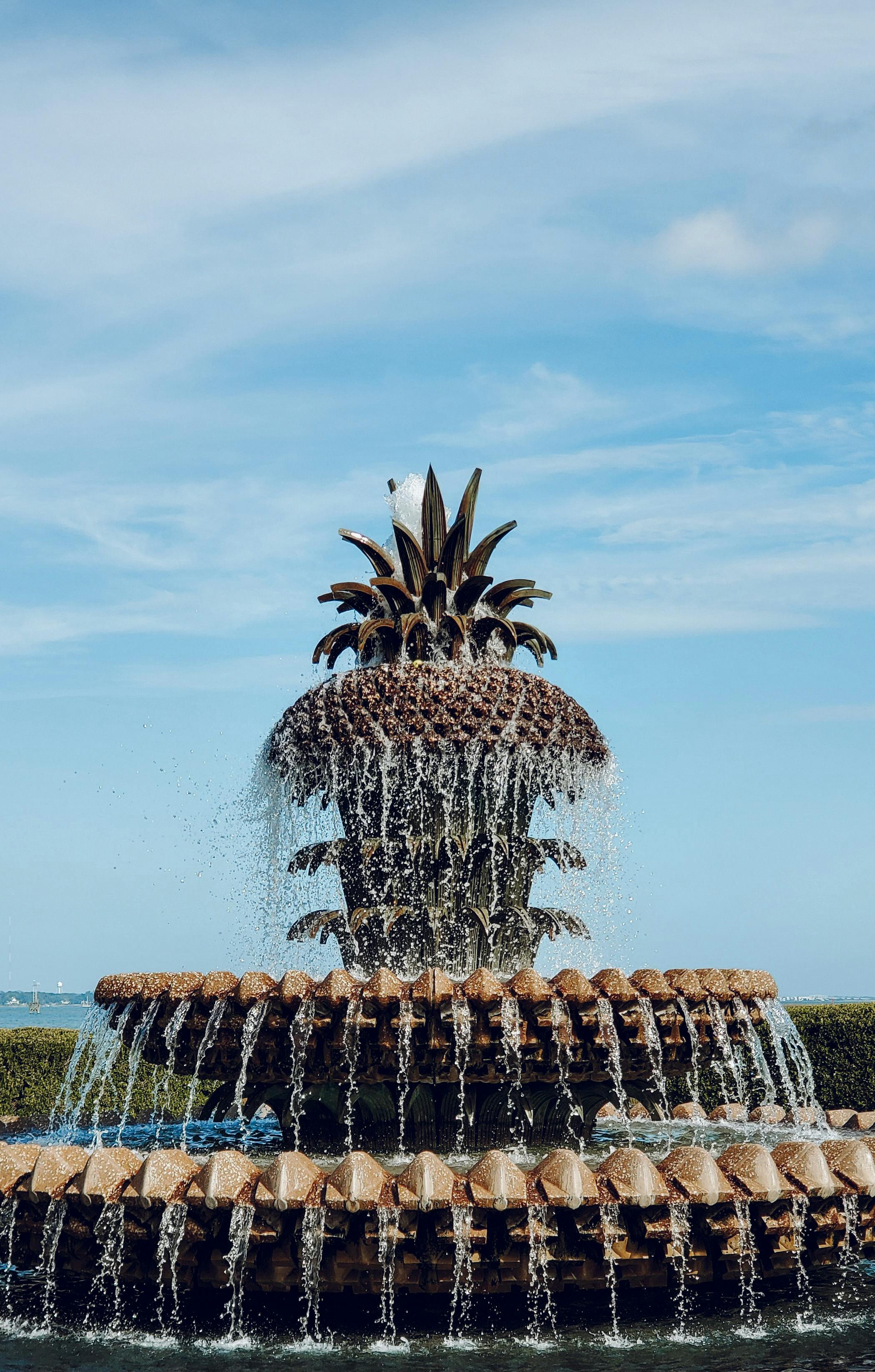 Is the Charleston Area Actually Right for You? A Buyer's Reality Check