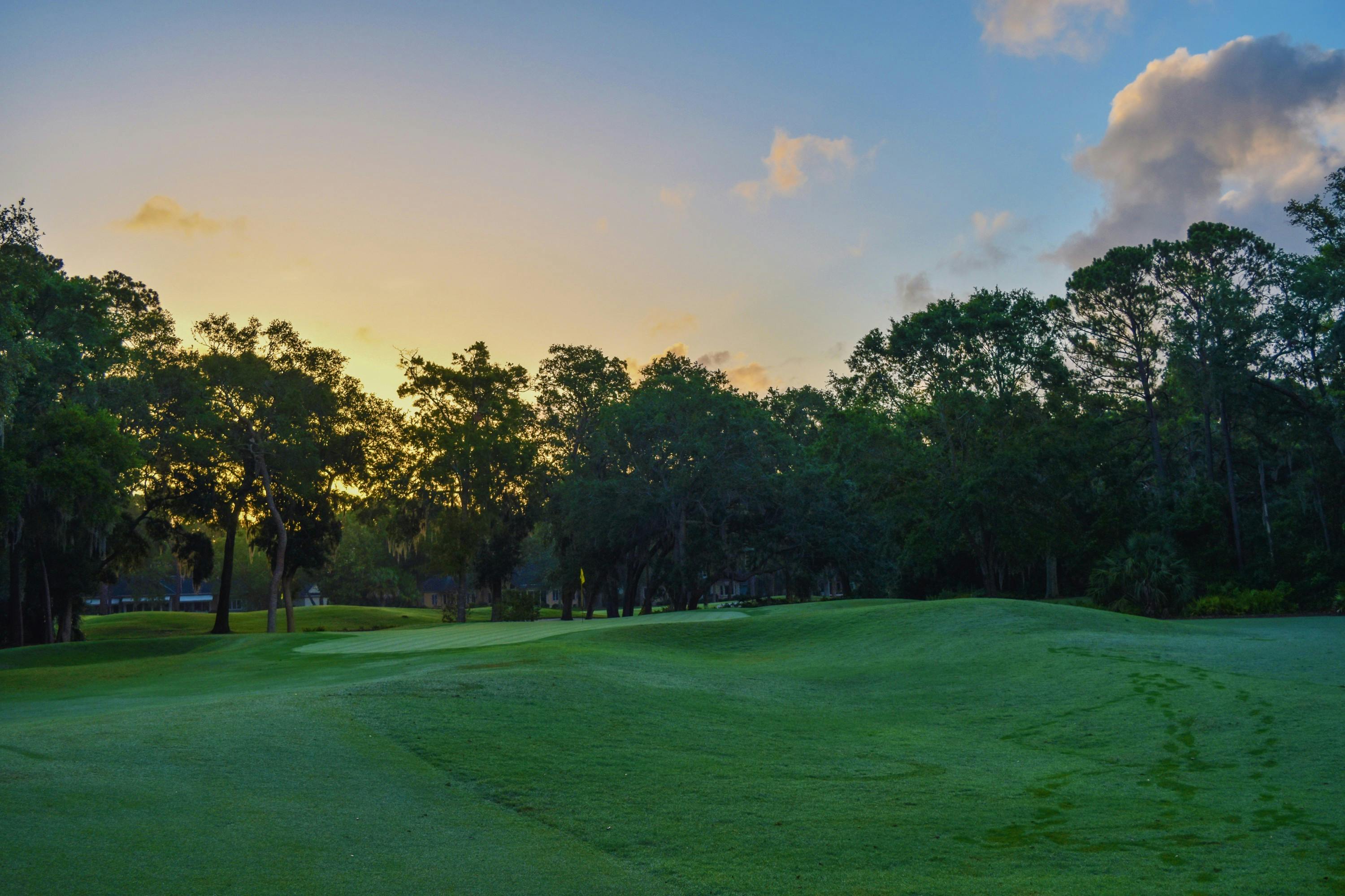 Golf Course Homes Daniel Island Sc