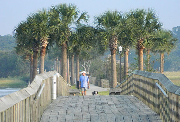 Best Mount Pleasant Neighborhoods for Home Buyers | Coast2Coast Properties